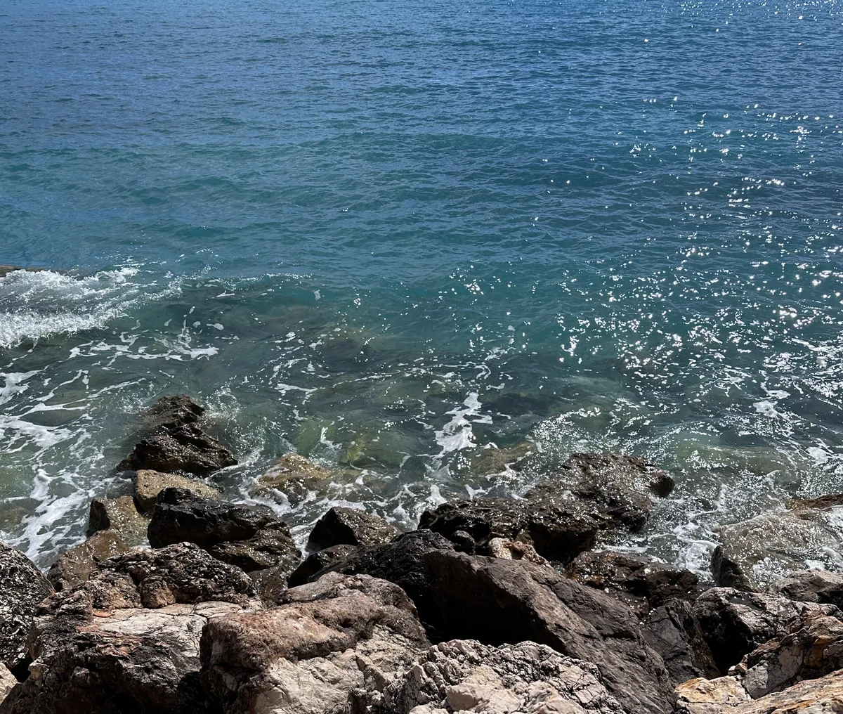 Back to the Ocean — documentation