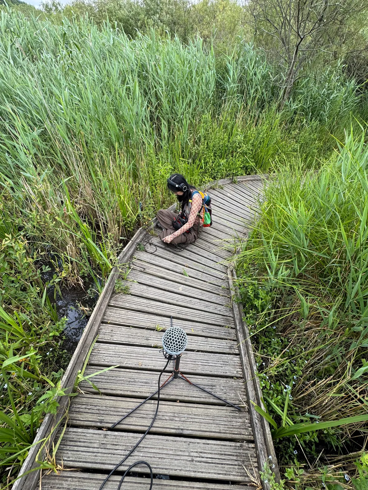 Naiad: documentation 10 of 10